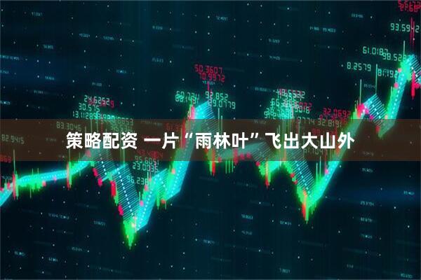 策略配资 一片“雨林叶”飞出大山外