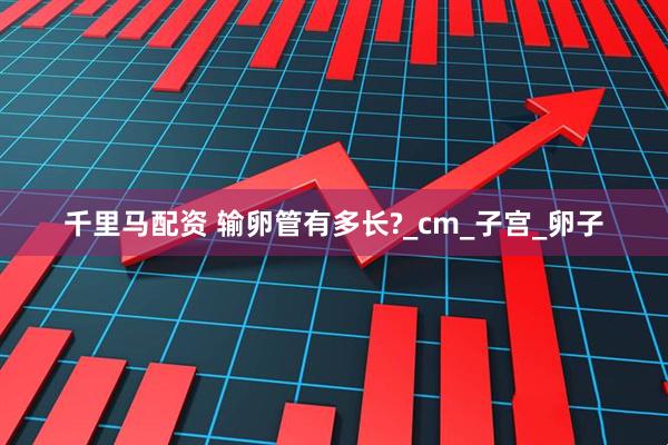 千里马配资 输卵管有多长?_cm_子宫_卵子