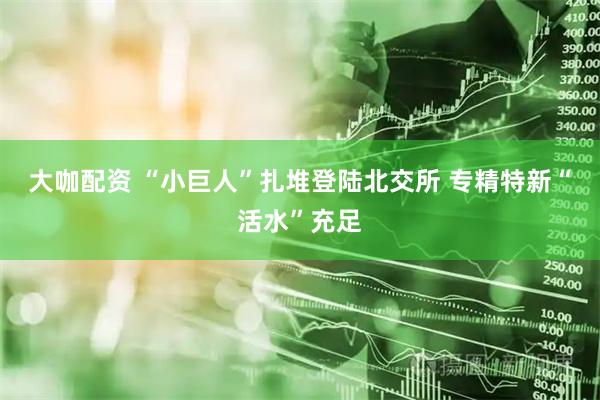 大咖配资 “小巨人”扎堆登陆北交所 专精特新“活水”充足